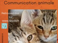 Jean Louis Chambon, naturopathie et communication animale